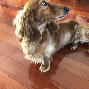 Meet your Posher, Joanne